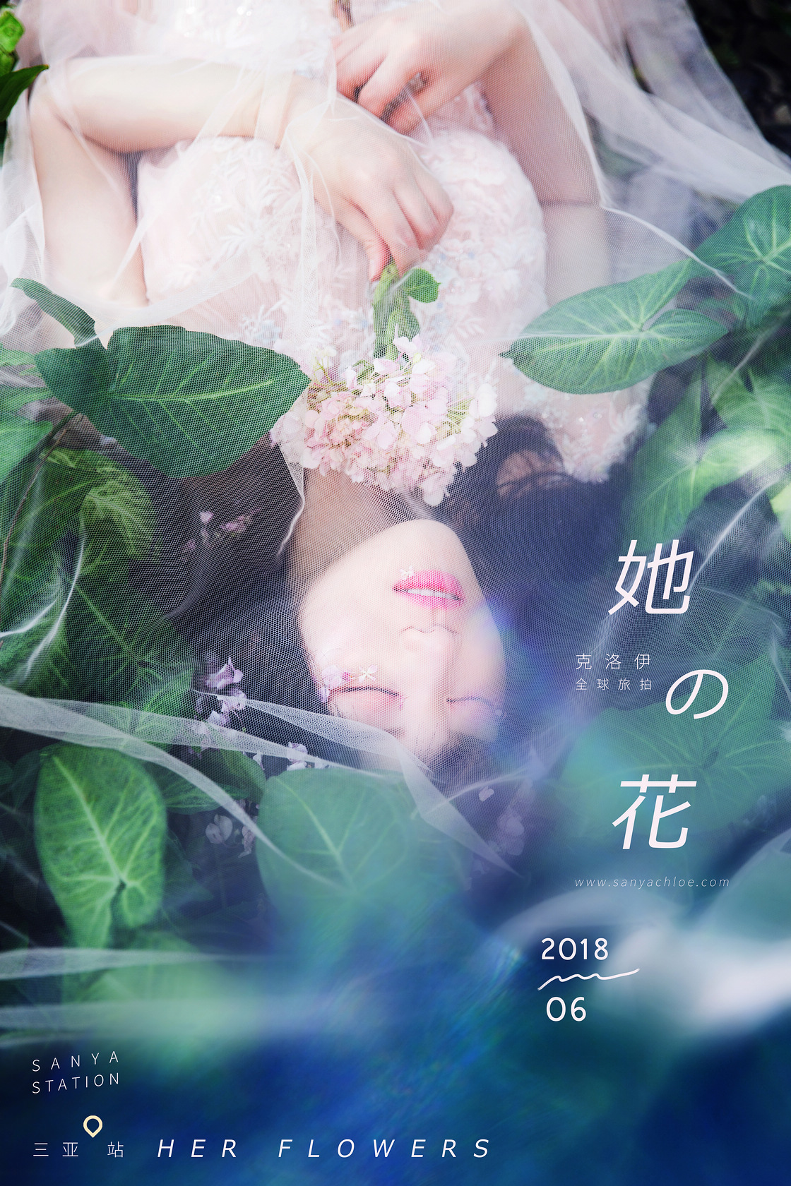 許先生&楊女士